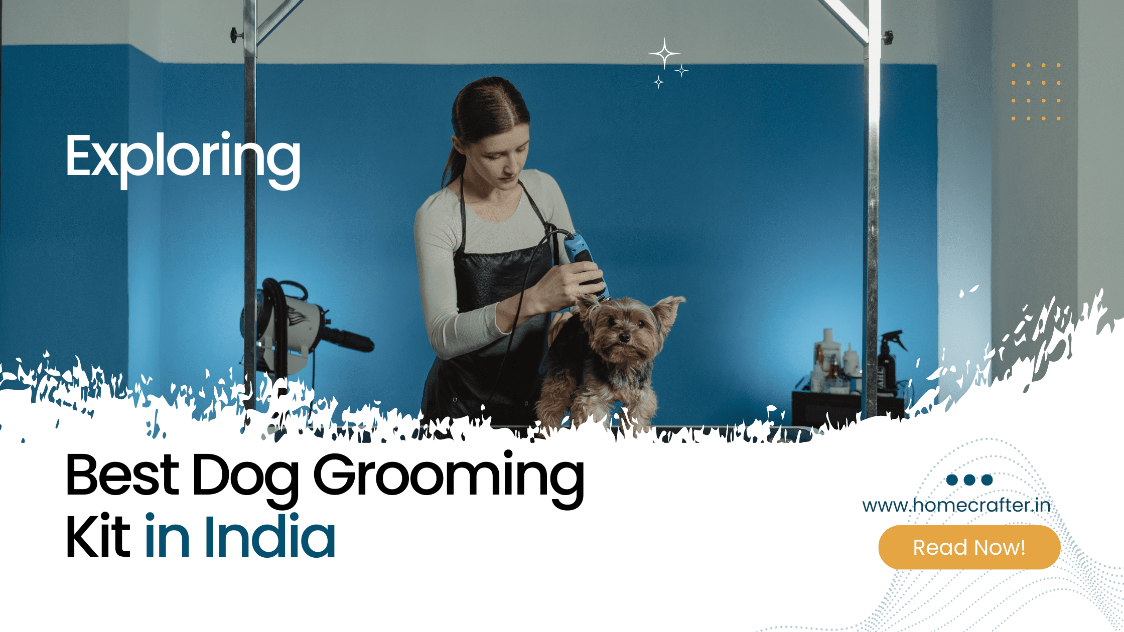Best Dog Grooming Kit In India